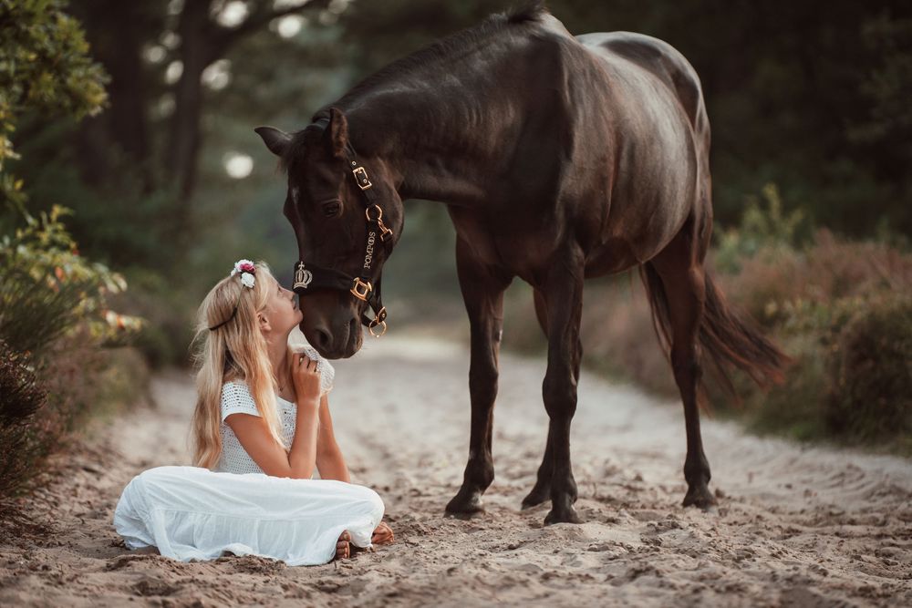 A little girl in a white dress sits on a sandy forest path as a dark horse gently touches its nose to her face.