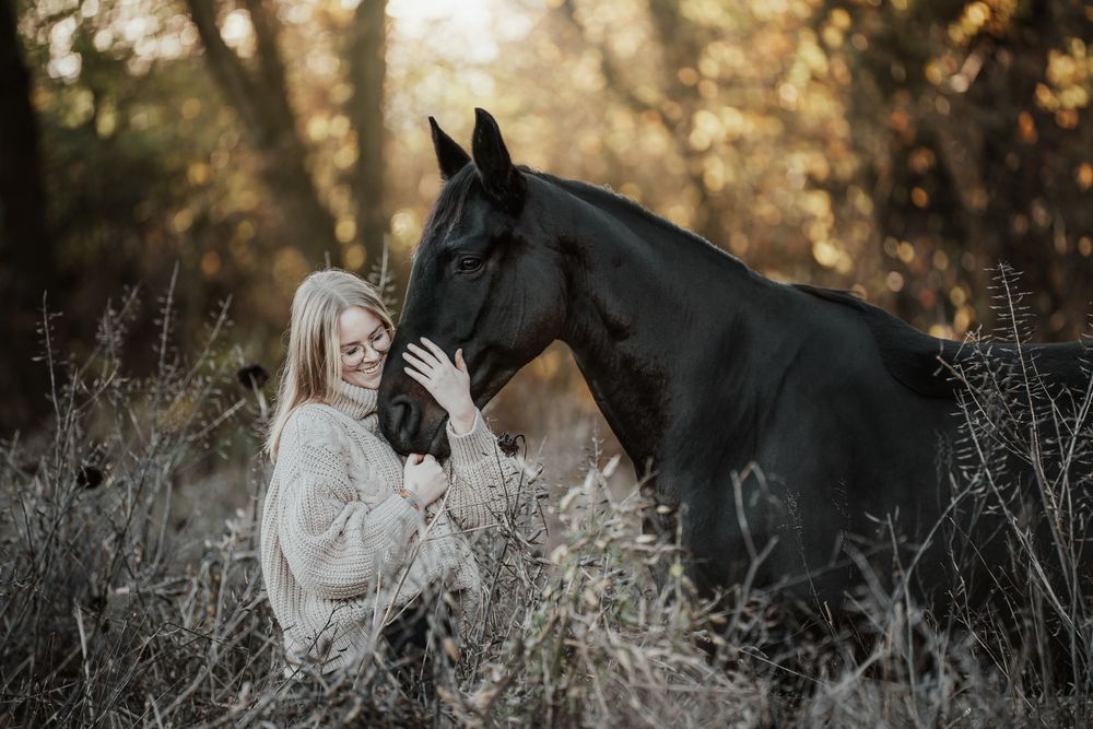 A smiling woman in a cream sweater embraces a black horse among tall grasses in warm autumn woodland light.