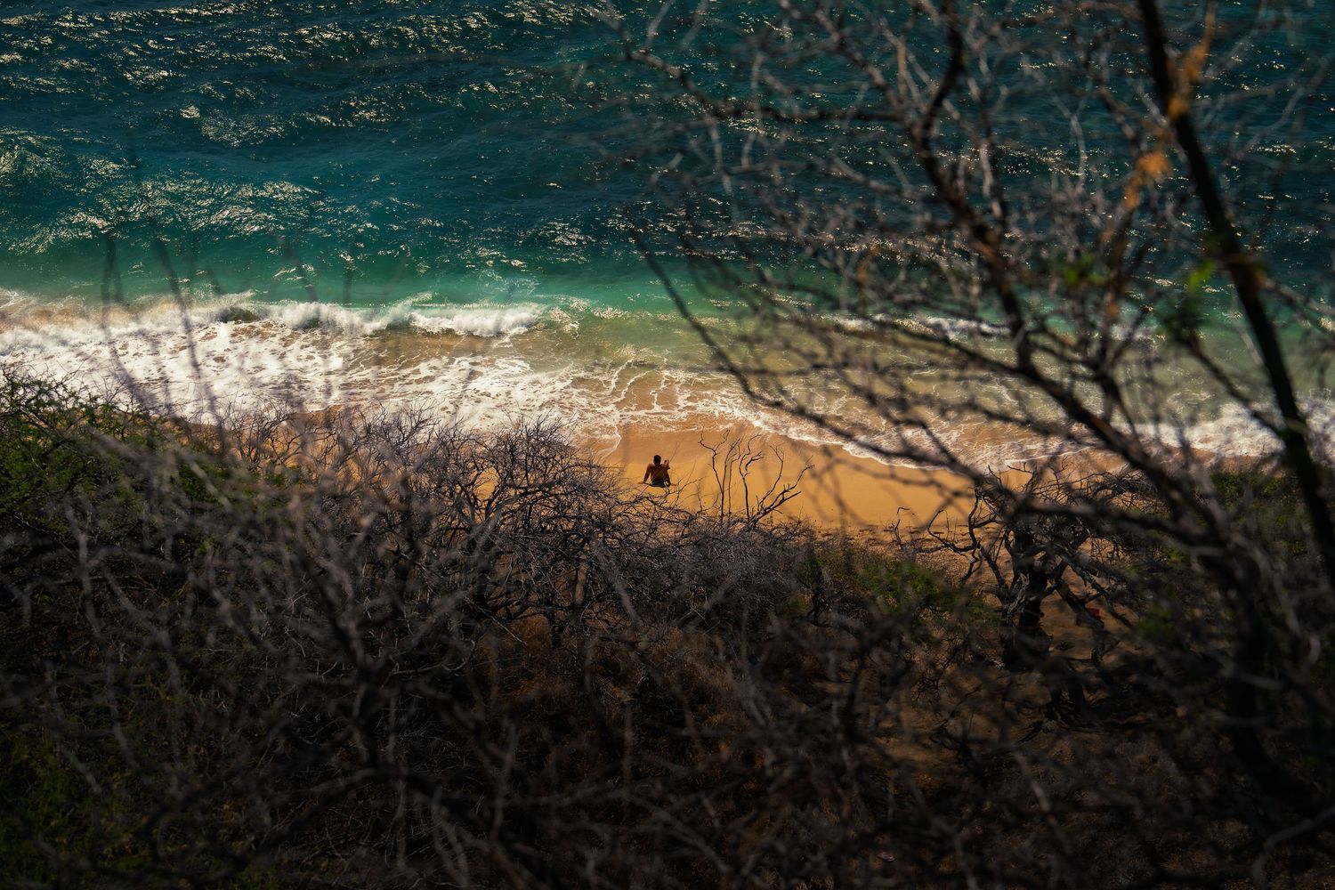 A lone person sits on a golden sand beach as turquoise waves roll in, viewed through bare branches from a bluff in Honolulu, Hawaii.