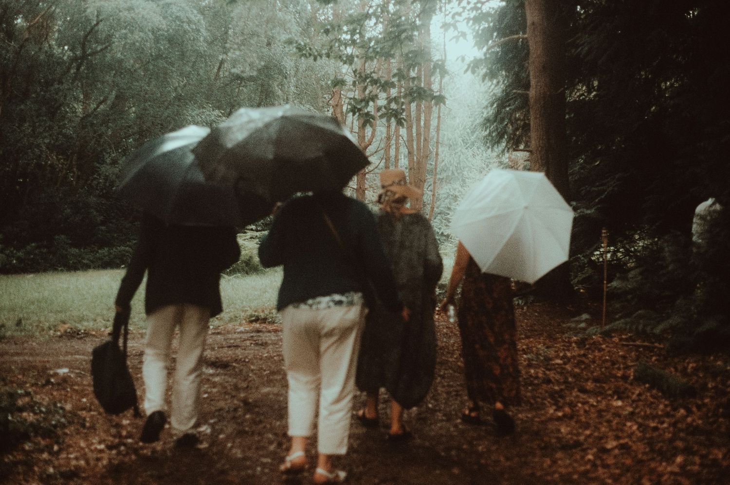 Four people walking in a rainy forest, holding black and white umbrellas on a leaf-covered path at an outdoor wedding.