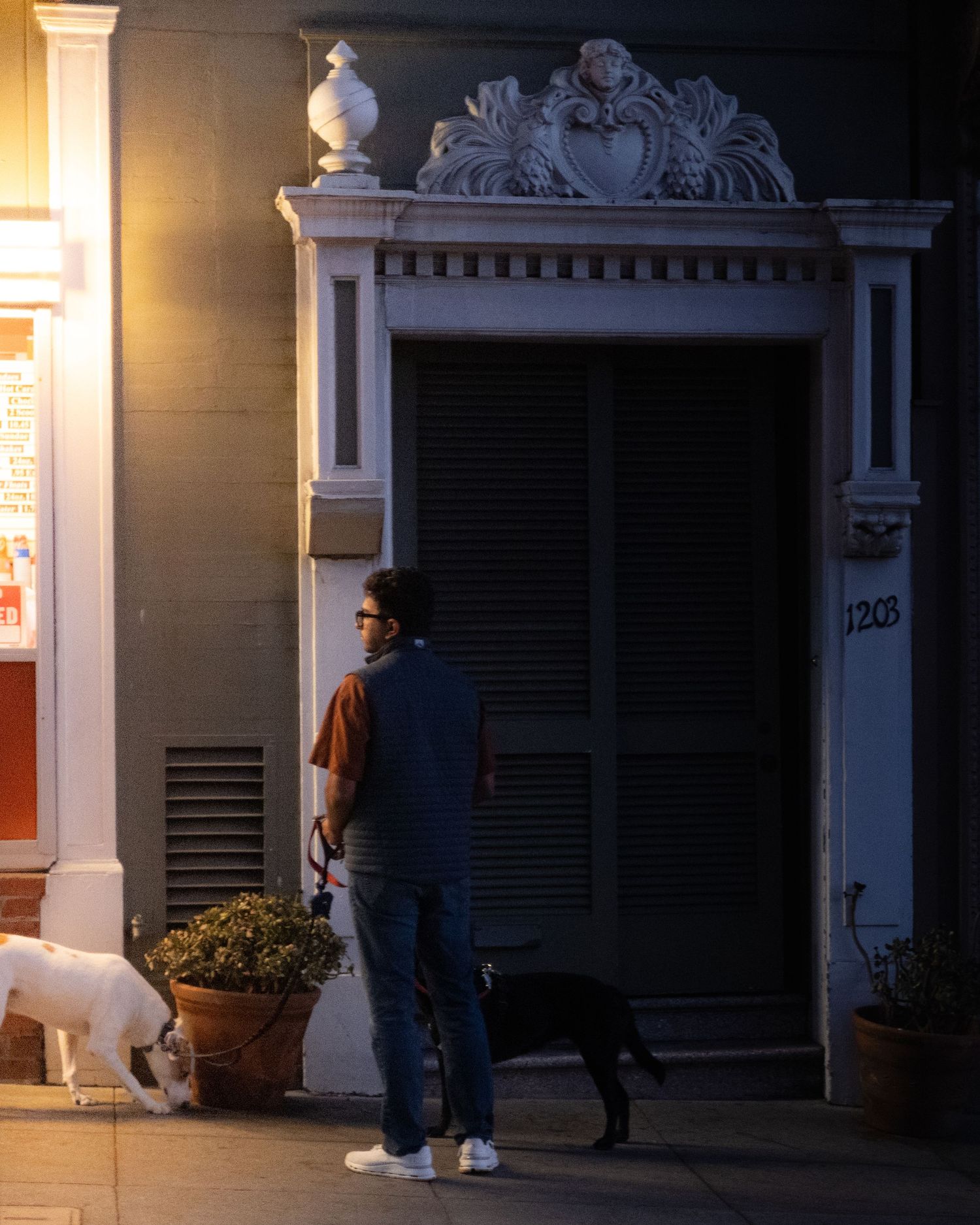 Person walking two dogs at night outside an ornate doorway with decorative molding on a city street.
