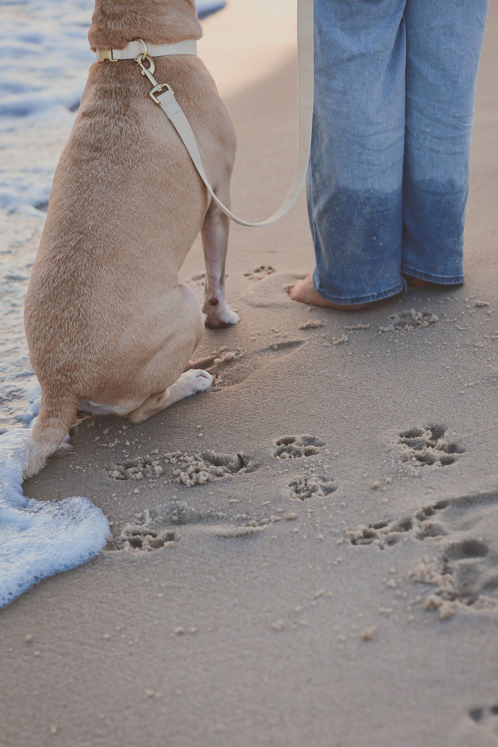 A dog on a leash sits beside bare feet on a sandy beach, with paw prints visible in the wet sand near ocean waves.