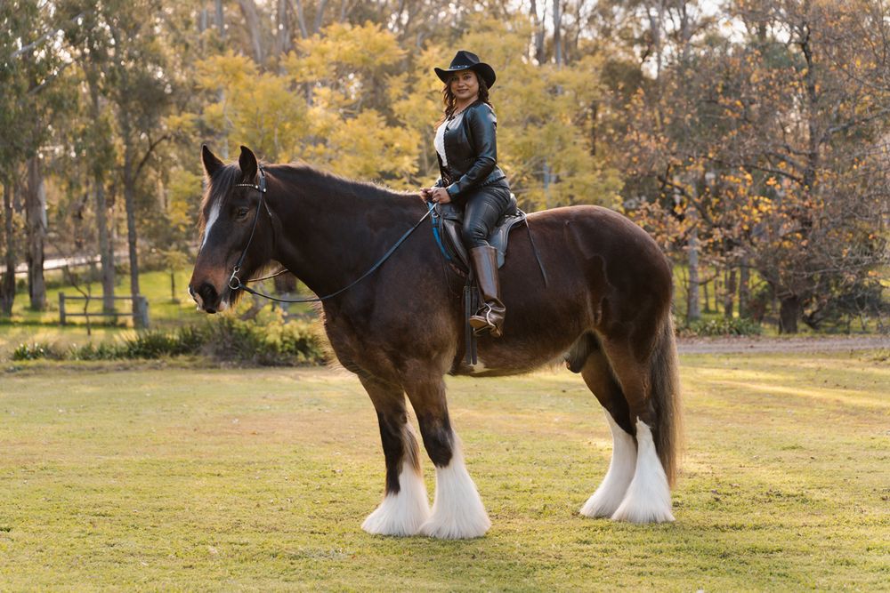 Woman in black hat riding a large dark brown Shire horse with white legs on green grass in Sydney during a photoshoot with a horse