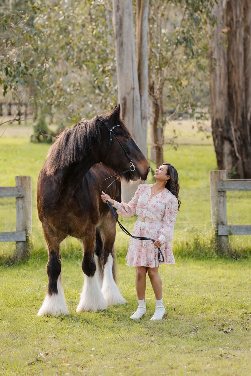 Young woman in floral dress feeding a tall Clydesdale horse in a green paddock surrounded by gum trees in Sydney during a photoshoot
