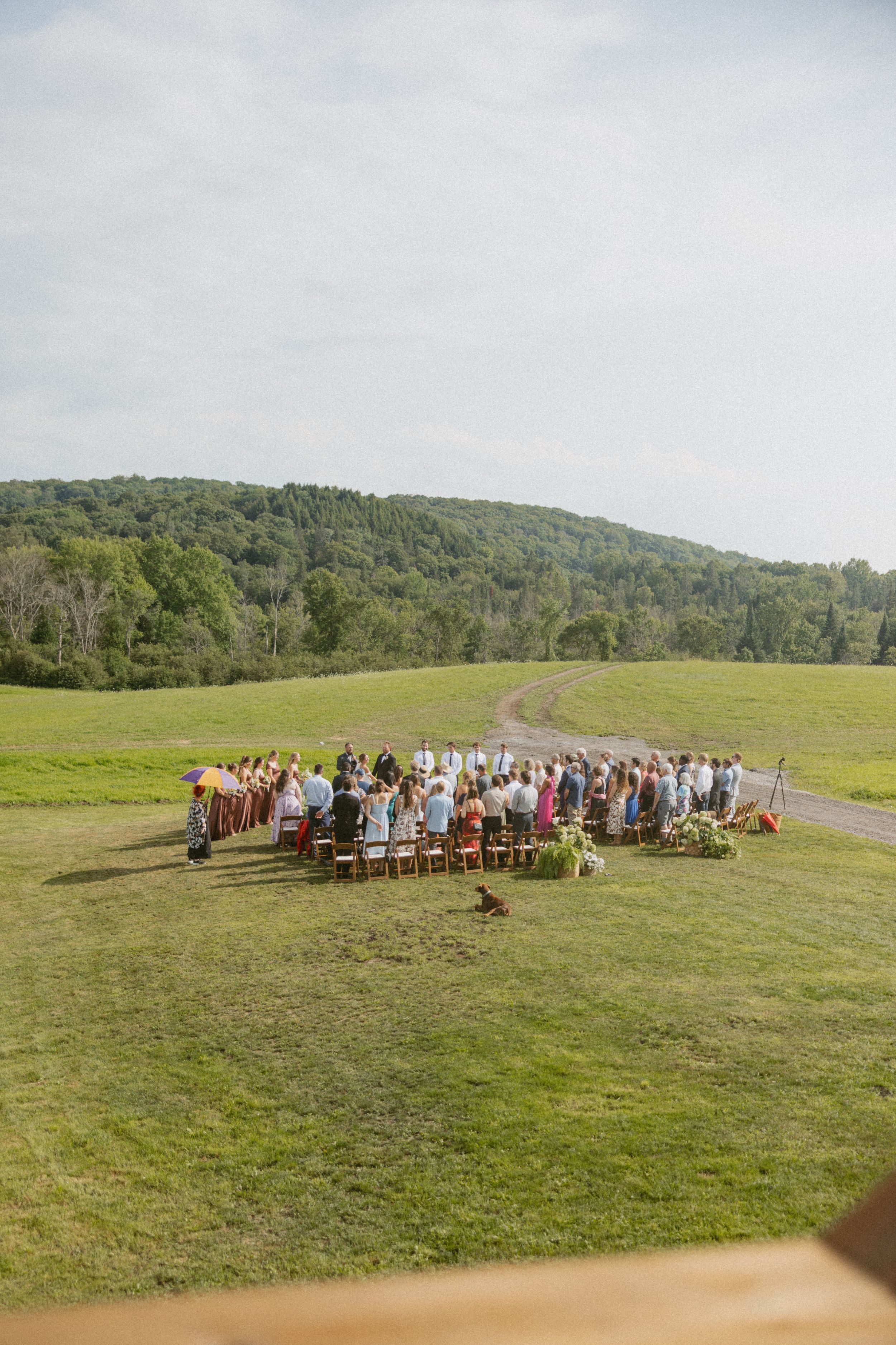 Aerial view of an outdoor wedding ceremony on a green meadow surrounded by lush forested hills under a cloudy sky.