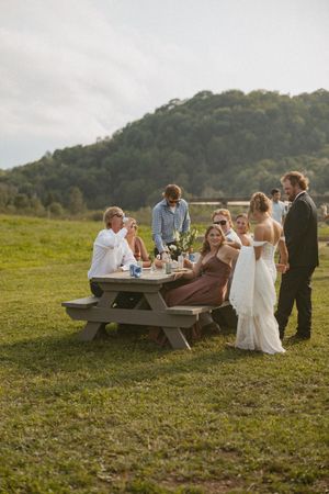 Wedding party gathered around a picnic table in a green field with wooded hills, bride in white gown with guests.