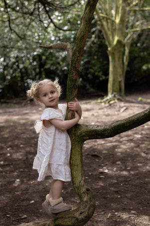 A young blonde toddler girl in a white dress hugs a mossy tree branch in a woodland setting in Brighton