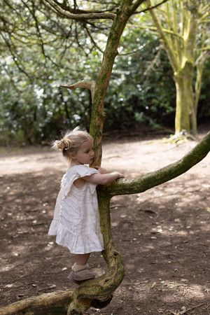 A toddler girl in a white dress hugs a mossy tree trunk in a serene woodland setting in Brighton