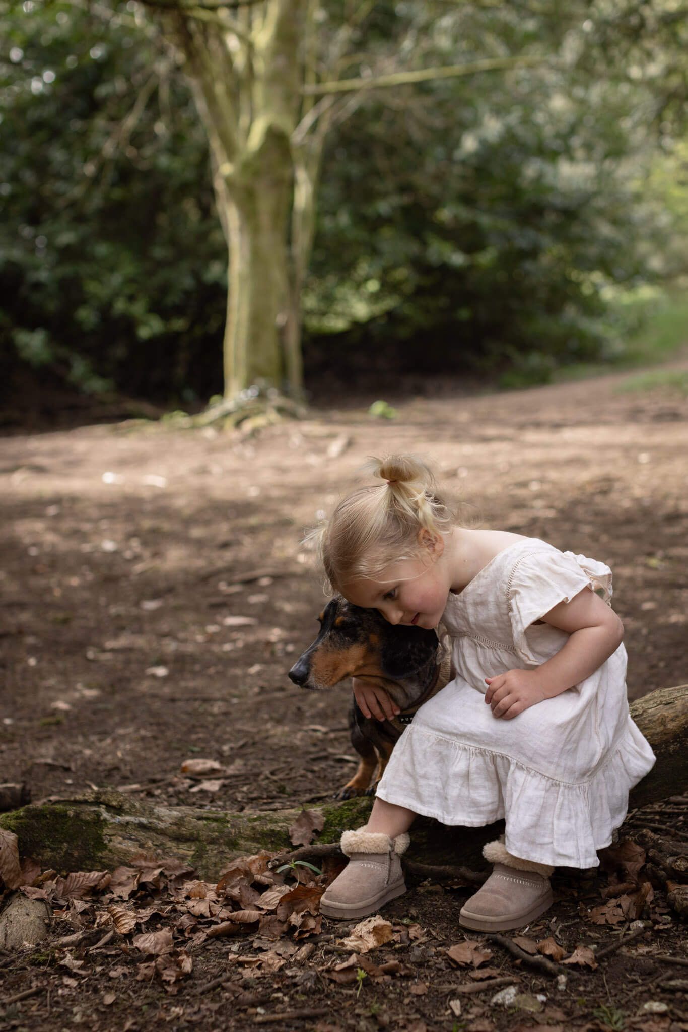 A toddler girl in a white dress hugs a dachshund dog while sitting on a log in a woodland forest in Brighton