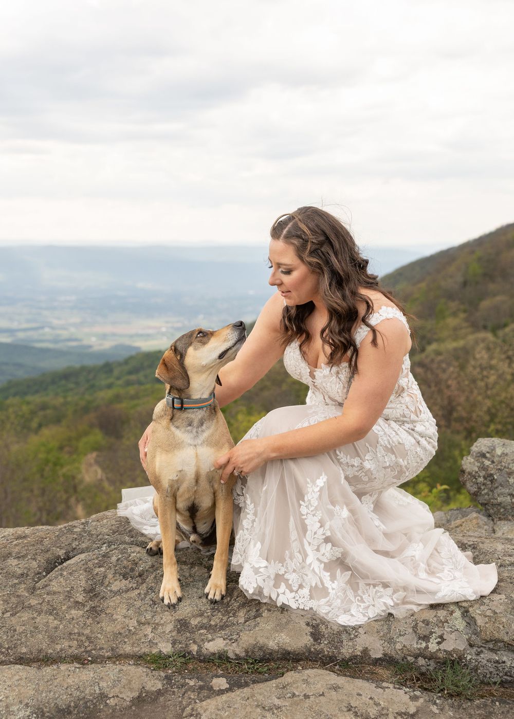 Bride in lace wedding gown kneels beside her dog on a rocky overlook with sweeping valley views behind.
