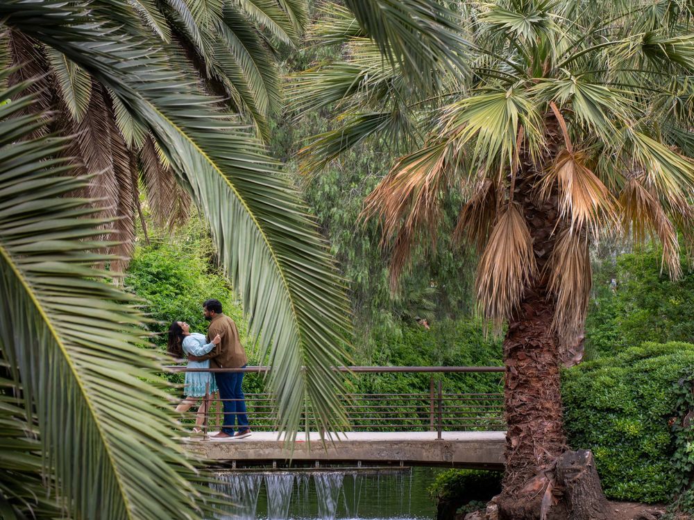 Two people stand on a wooden bridge surrounded by lush palm trees and a tranquil waterfall in a tropical garden.