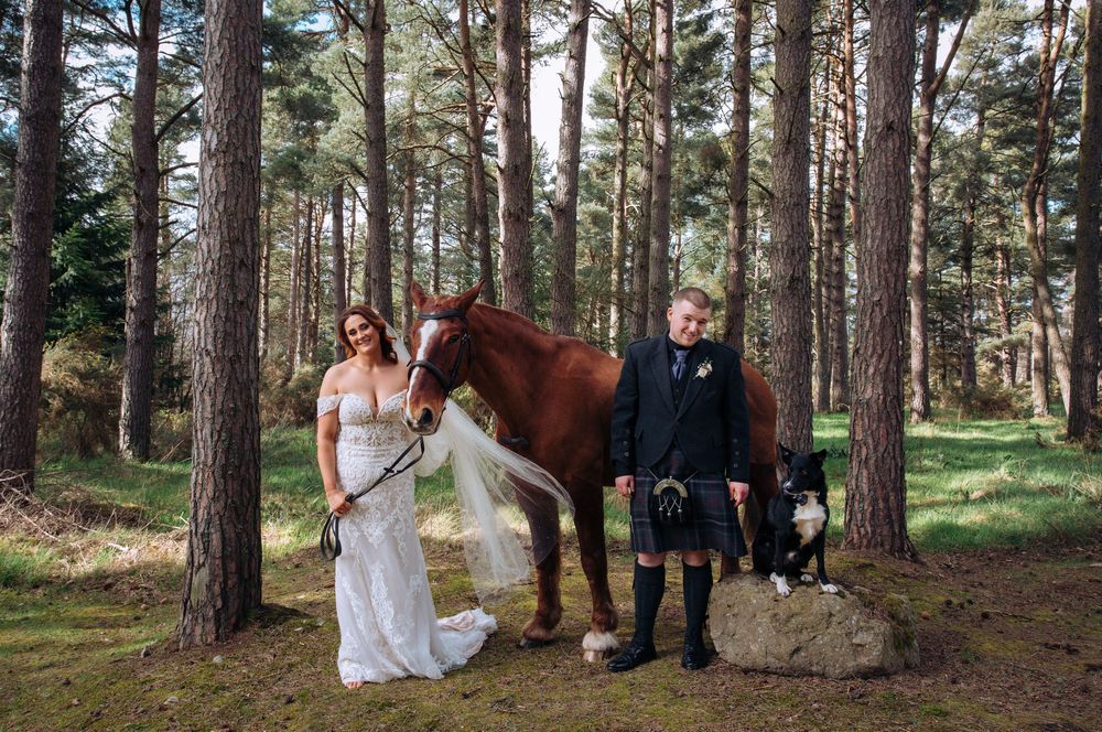 Bride and groom in Scottish kilt pose with a chestnut horse and dog among pine trees in a forest wedding photo.