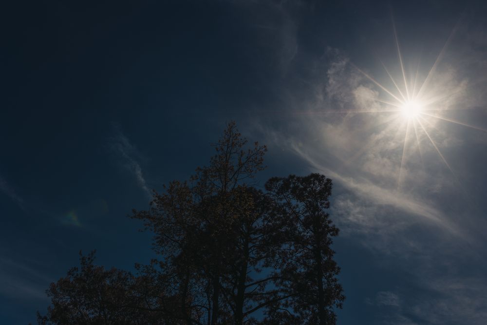 Bright sun shining in a deep blue sky above silhouetted trees with wispy clouds in the background.