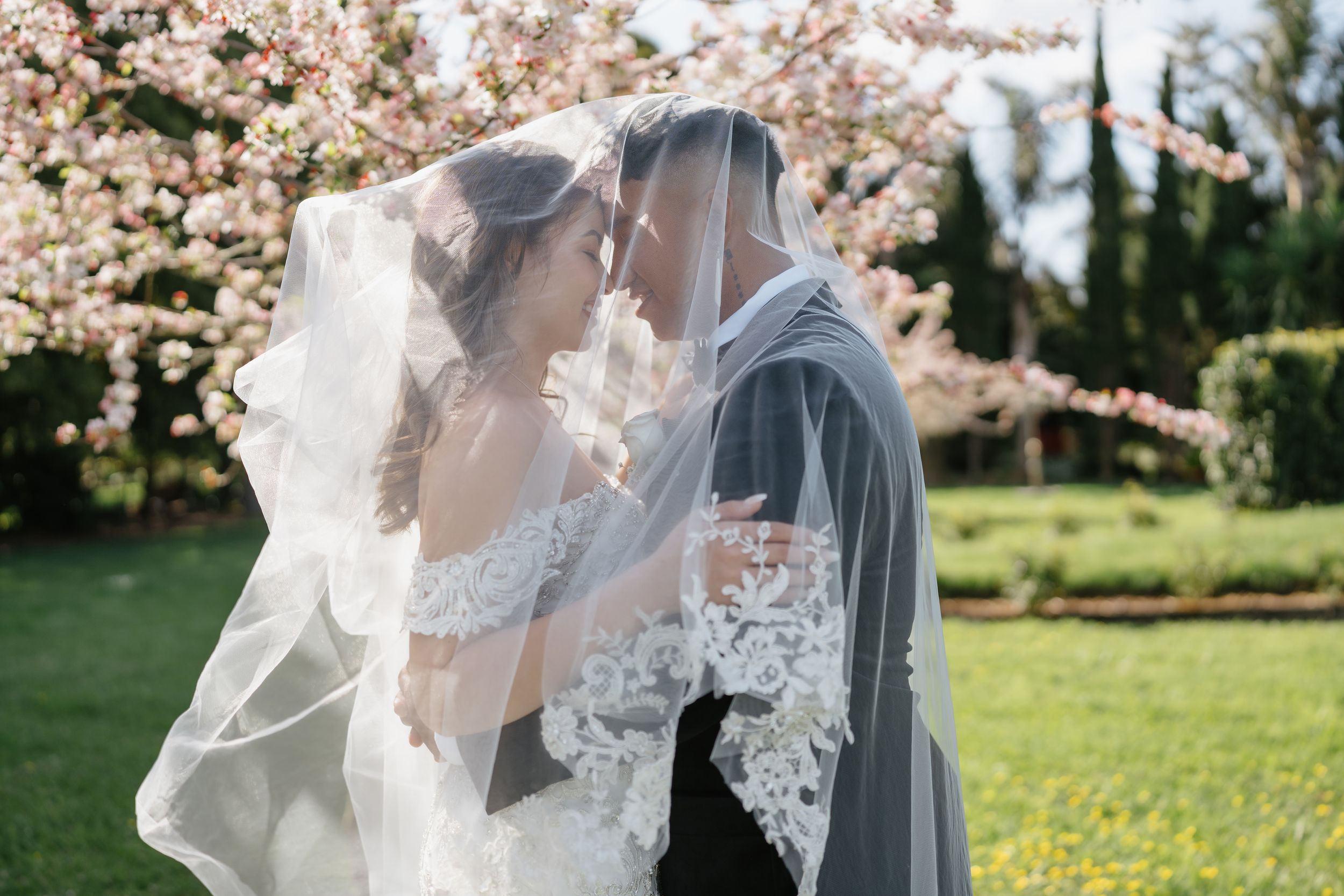 Bride and groom share romantic moment under flowing veil beside blooming cherry blossom tree in garden.