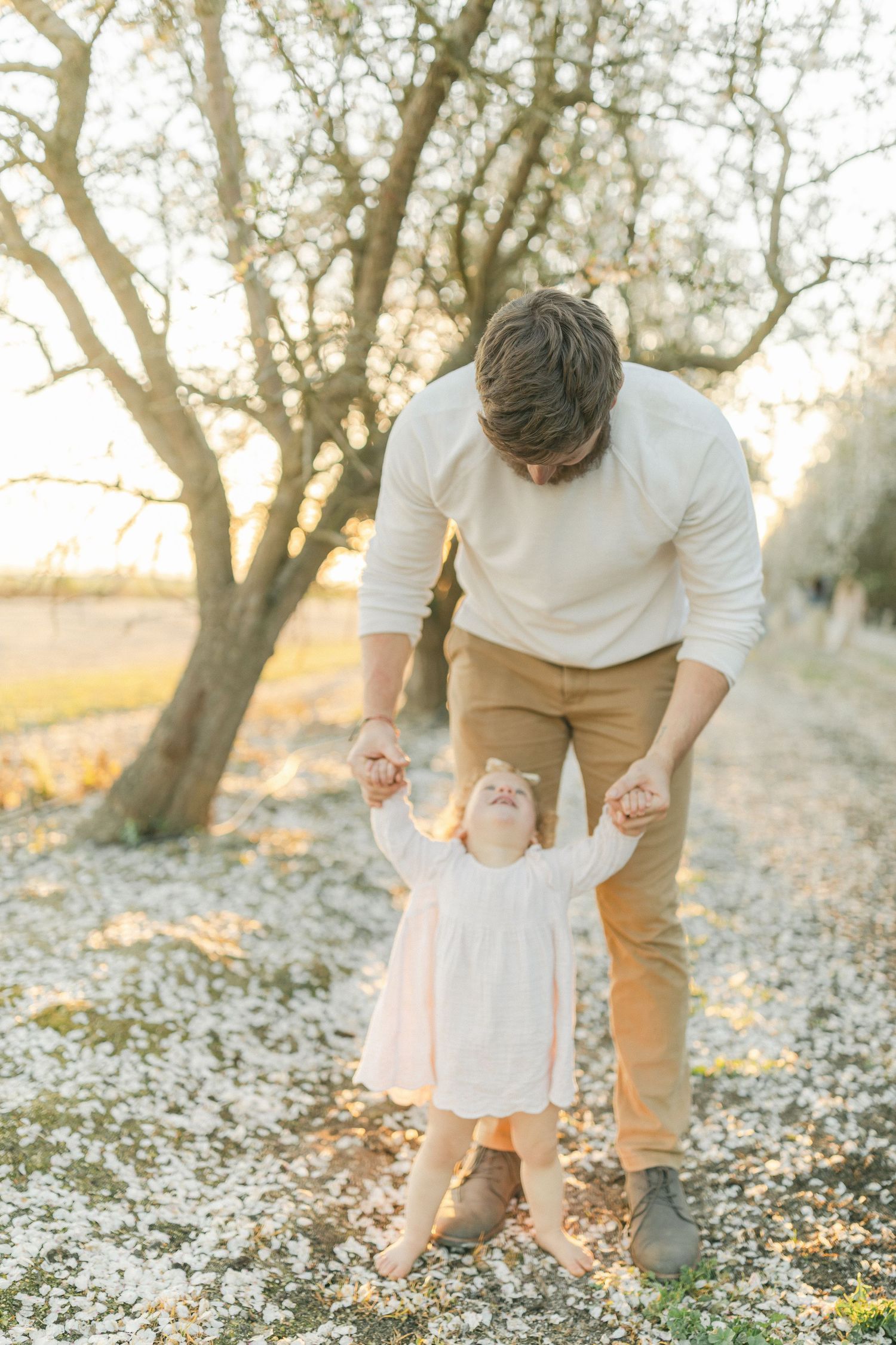 Father holding toddler girl's hands outdoors in golden hour light, white blossoms on ground beneath bare trees.