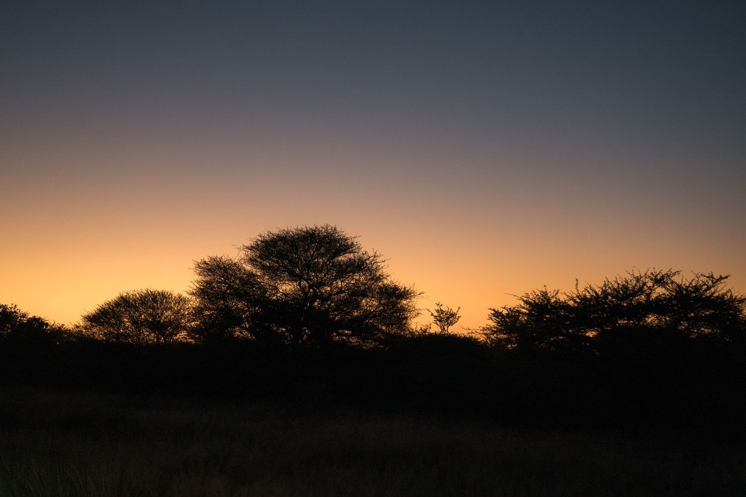 lever de soleil dans la brousse de waterberg