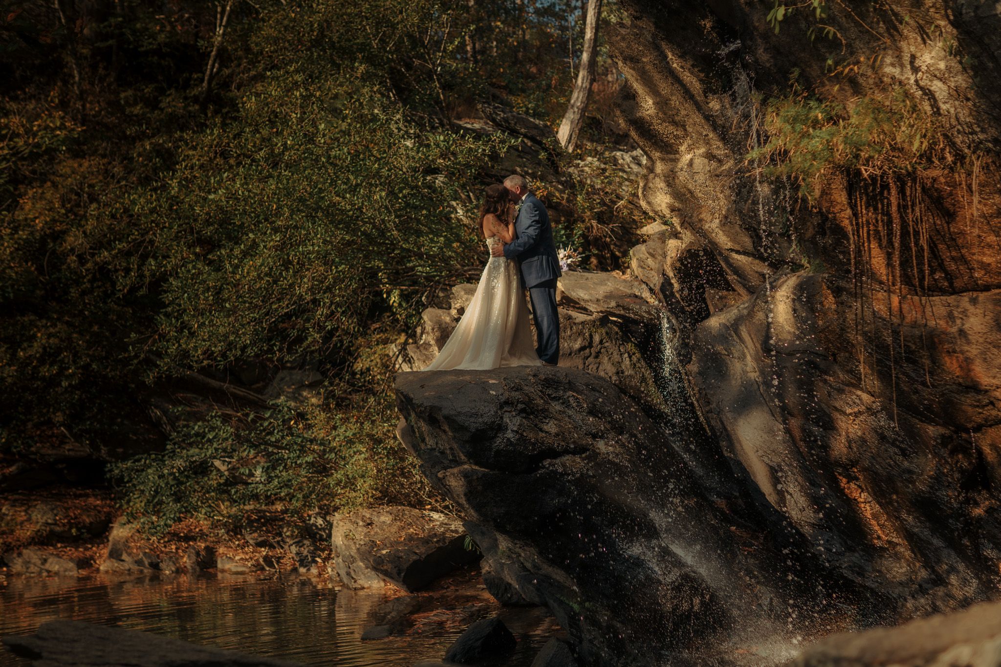 Natural wooded setting with dramatic lighting filtering through trees.