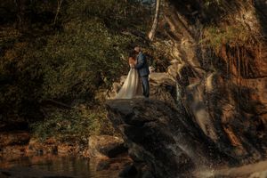 Natural wooded setting with dramatic lighting filtering through trees.