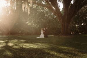 Bride and groom embrace under a grand moss-draped oak tree in golden sunlight during an outdoor wedding.