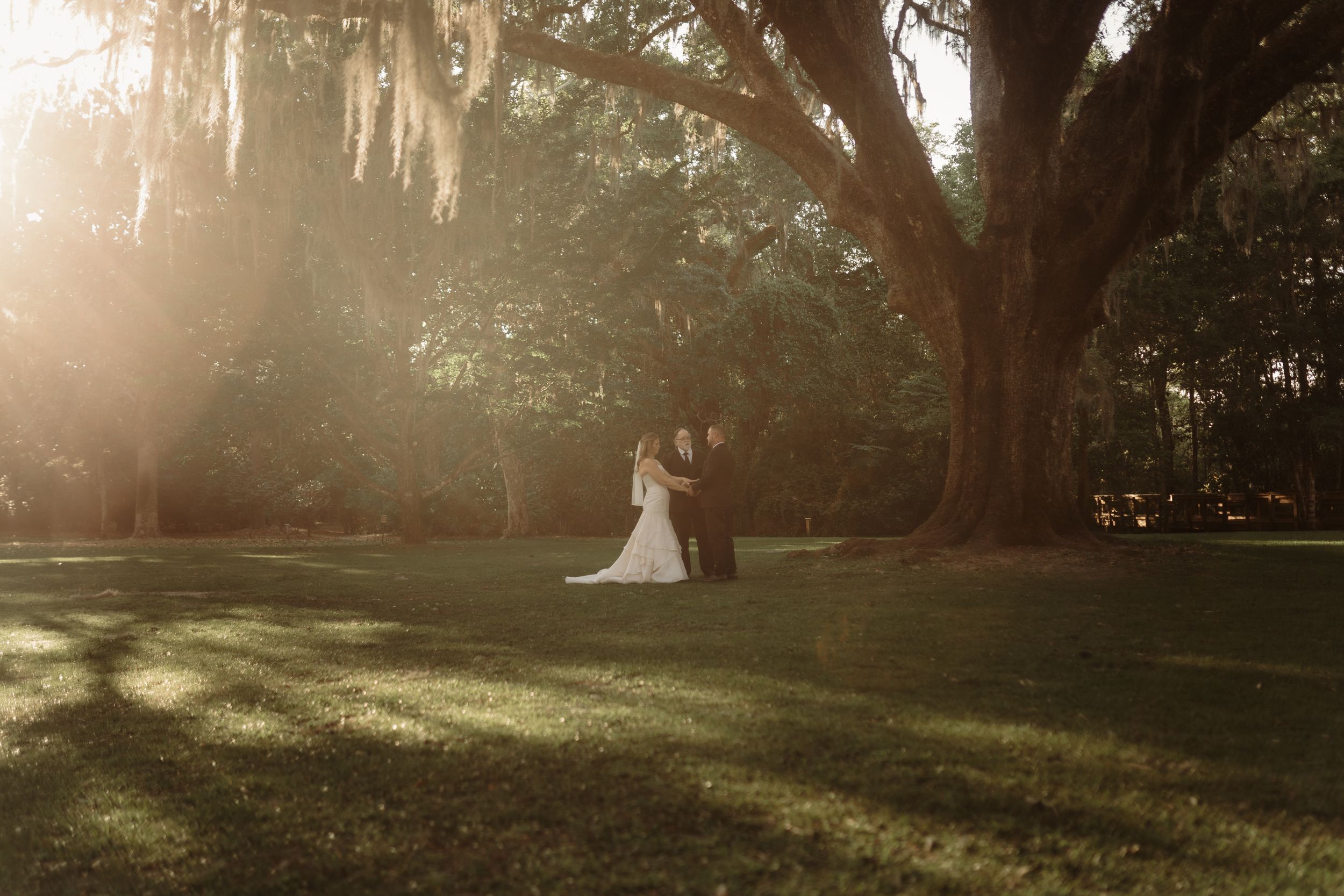 Bride and groom embrace under a grand moss-draped oak tree in golden sunlight during an outdoor wedding.