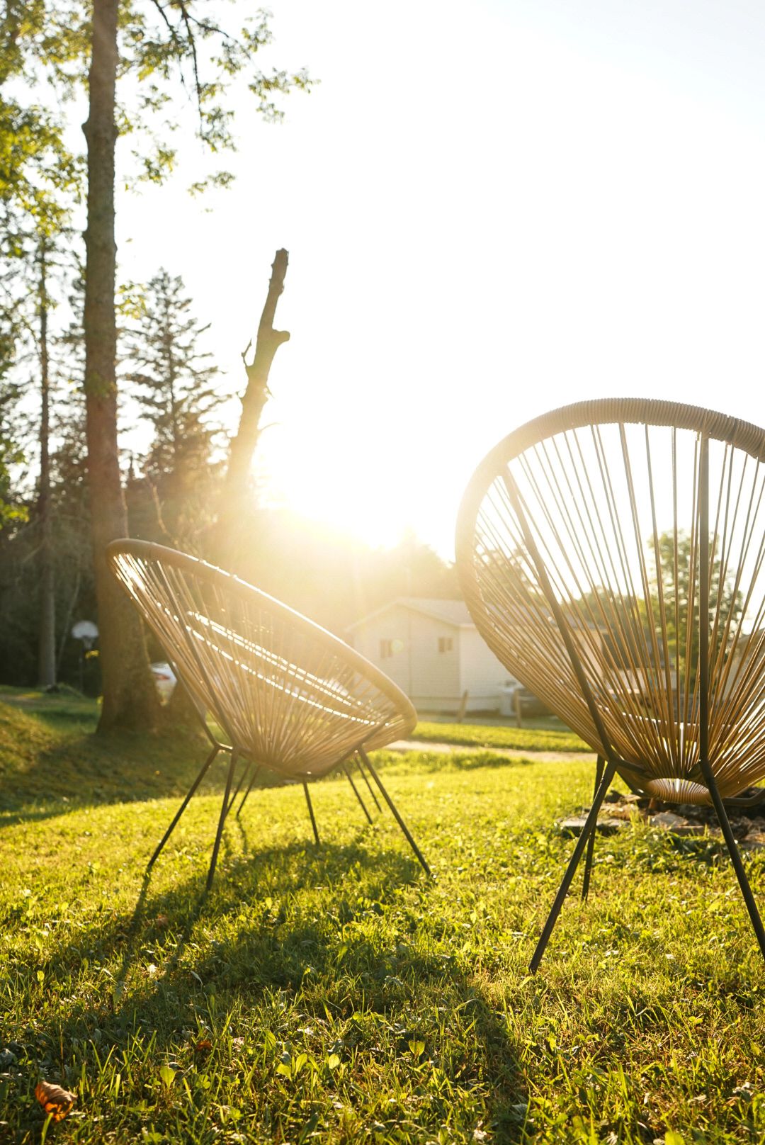 Modern outdoor chairs on grass backlit by golden sunset through trees.