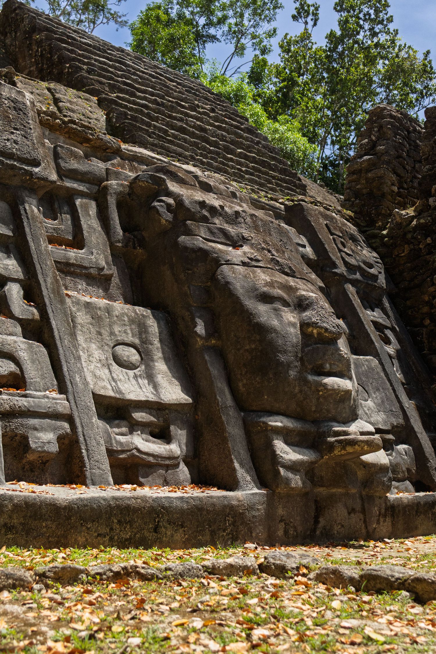 Ancient Mayan stone carvings and reliefs along a rock wall covered in fallen leaves.