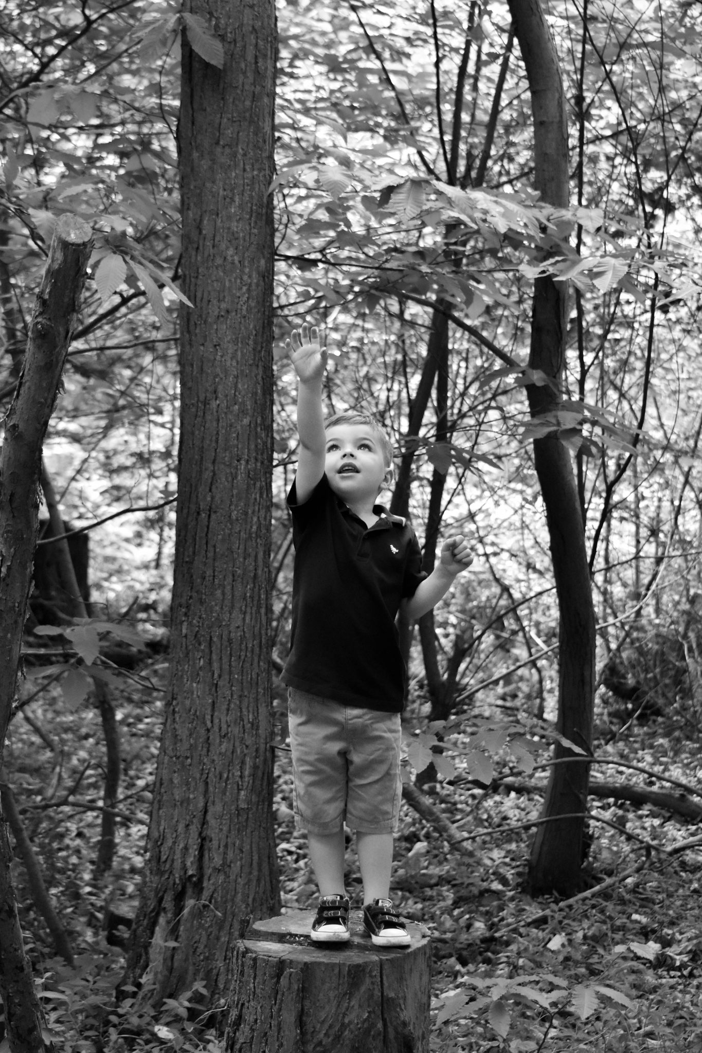 Black and white photo of child standing on tree stump in forest.
