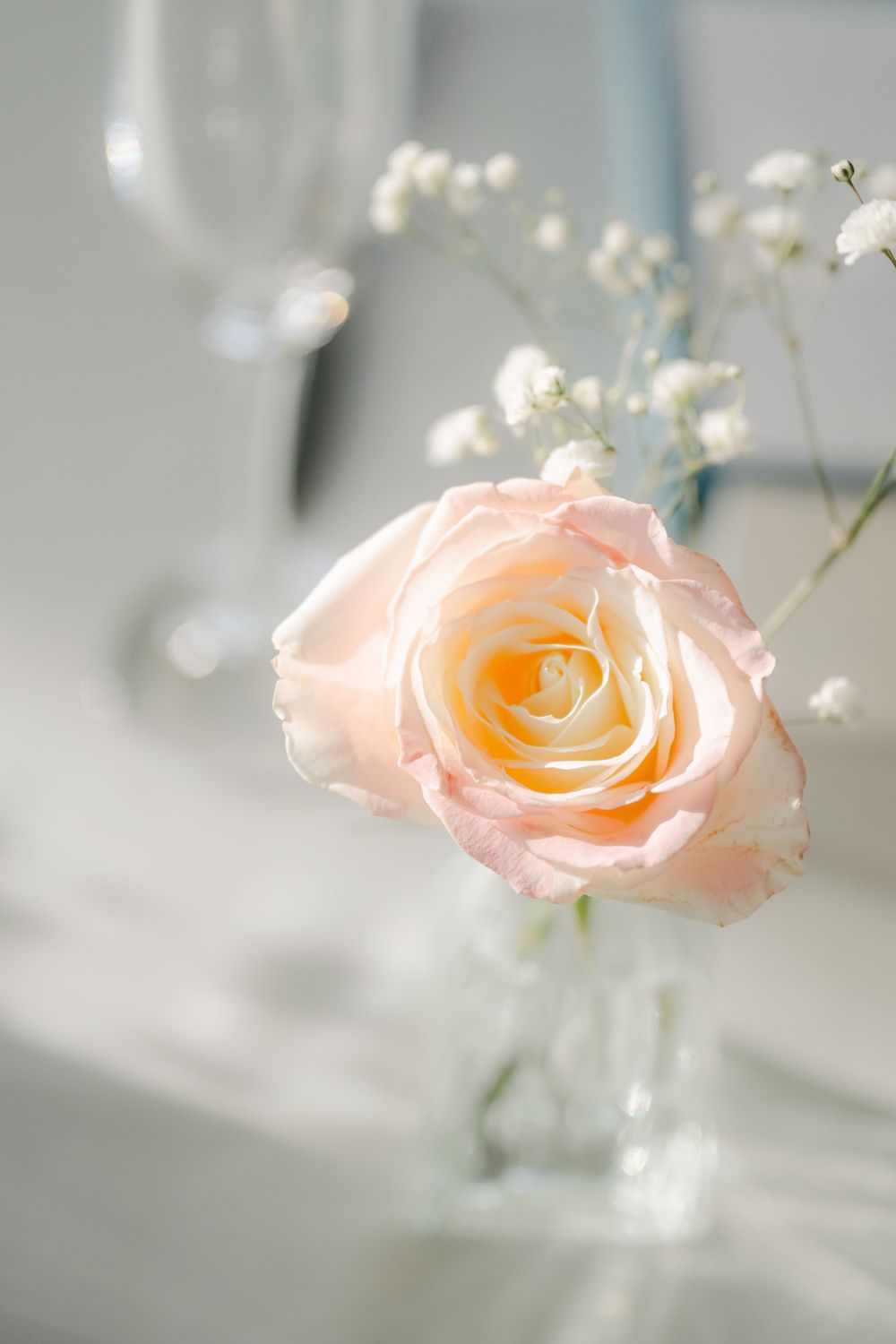 A delicate peach-colored rose with baby's breath in a glass vase creates a soft, romantic arrangement against a light background.
