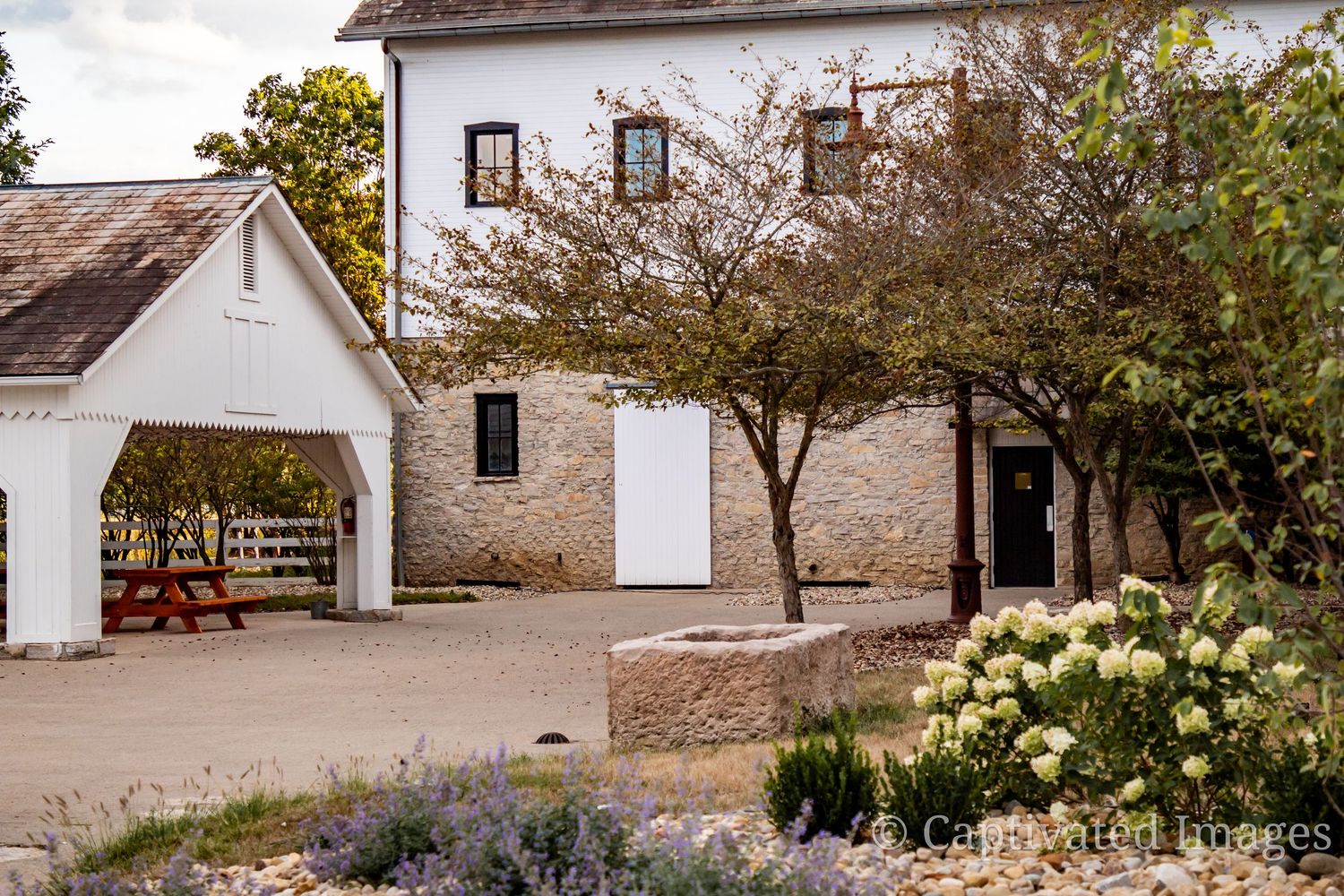 A row of traditional white farmhouses with rustic architecture and landscaping along a rural property.