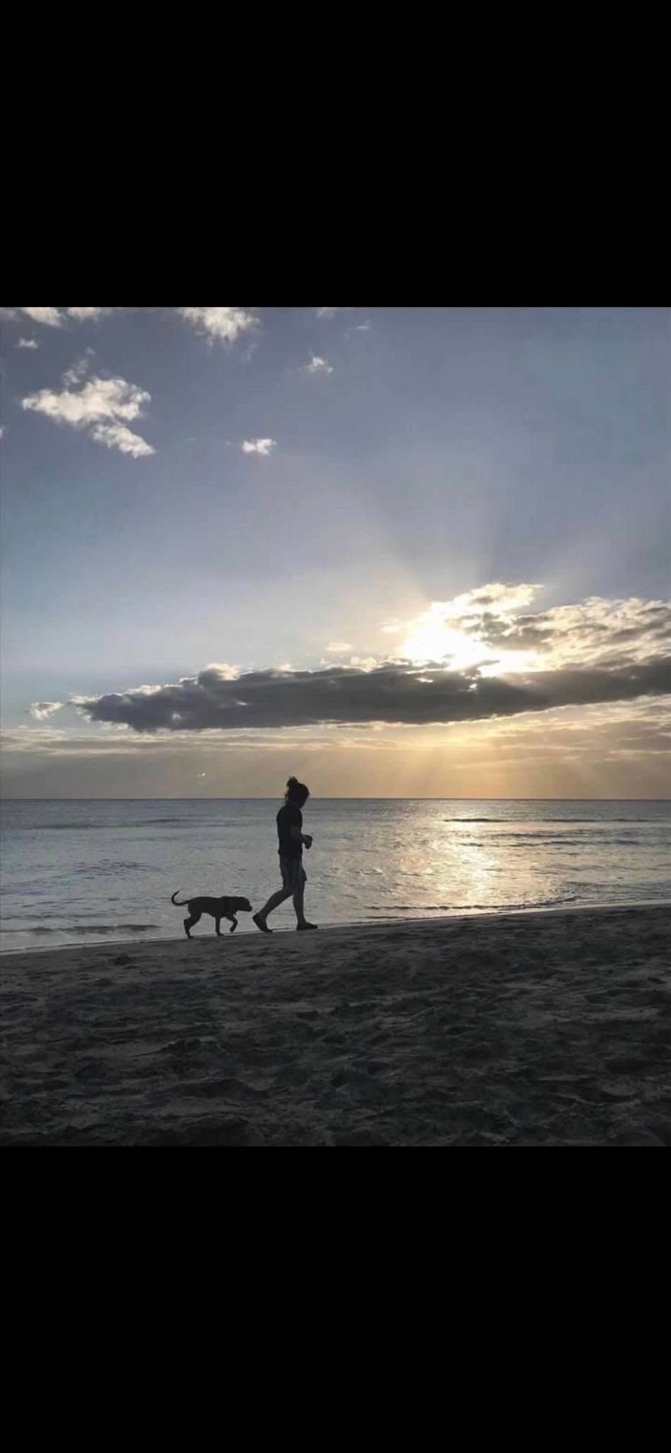 Silhouette of person walking dog on beach at sunset with dramatic cloudy sky and ocean backdrop.