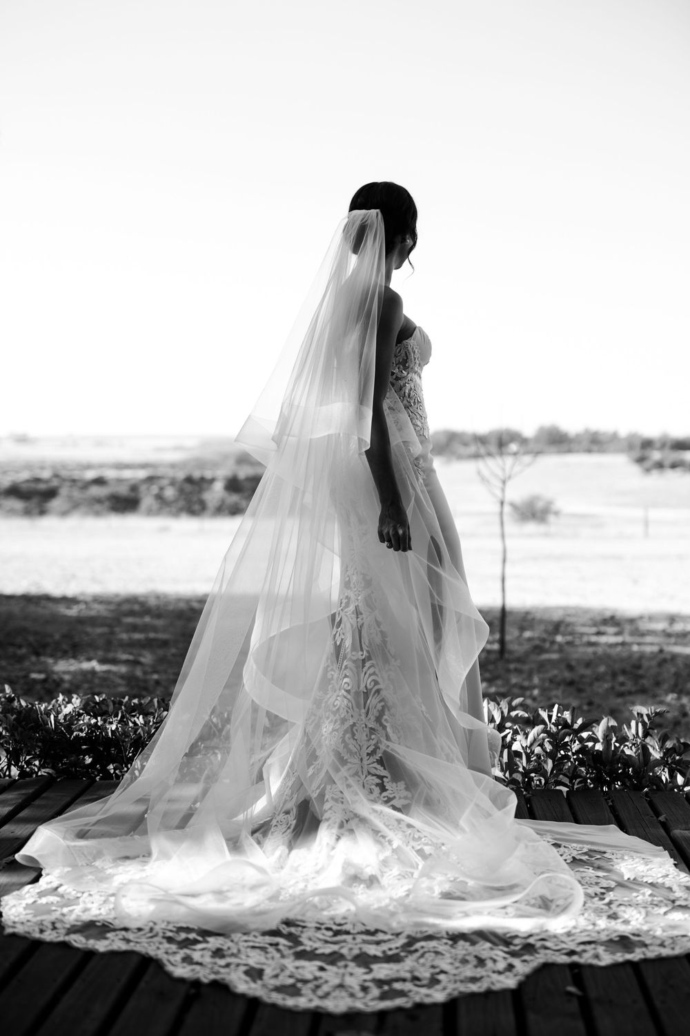 Dramatic black and white silhouette of bride in lace gown with long cathedral veil outdoors.