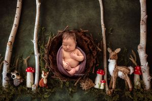 Sleeping newborn baby wrapped in purple, posed in a bird nest surrounded by woodland animals and mushrooms.