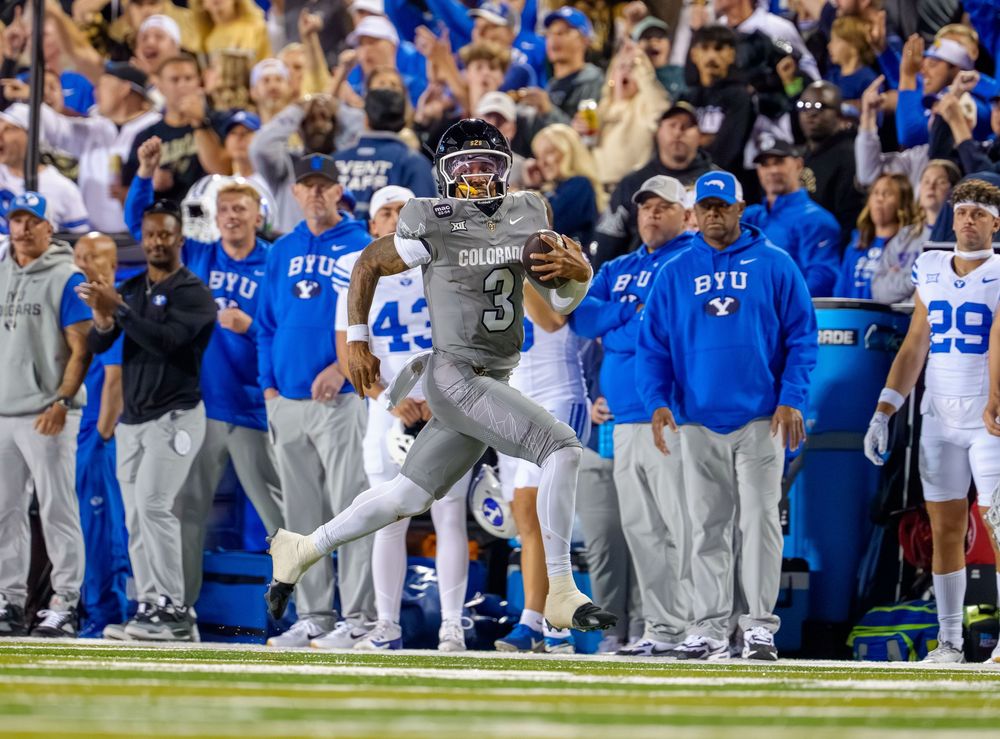 A football player in gray uniform jumps to make a catch along the sideline with blue-clad supporters watching.