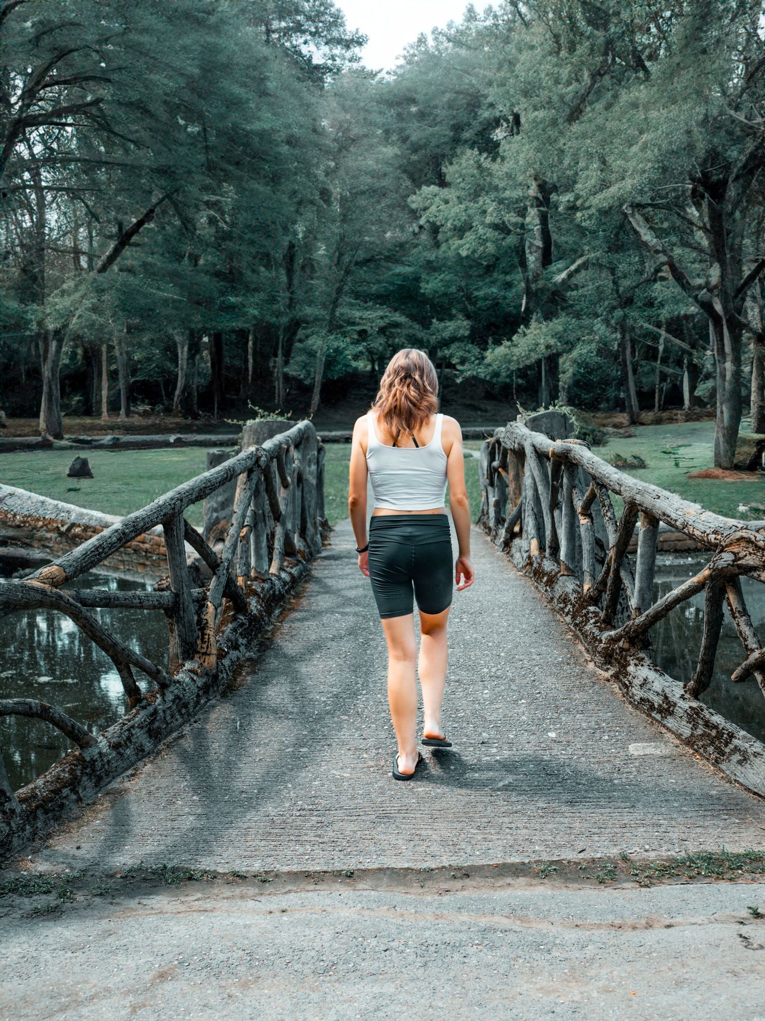 A rustic wooden bridge pathway through a green wooded park area shown from multiple angles.