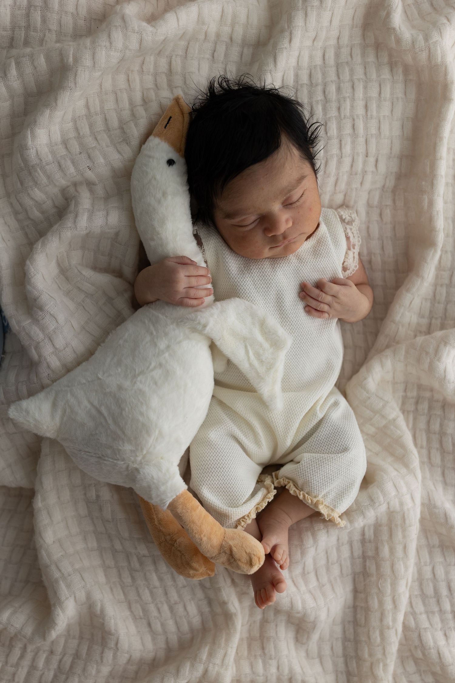 Unedited image of newborn girl sleeping against a neutral blanket and holding a plush goose, captured by Charlottesville baby photographer.
