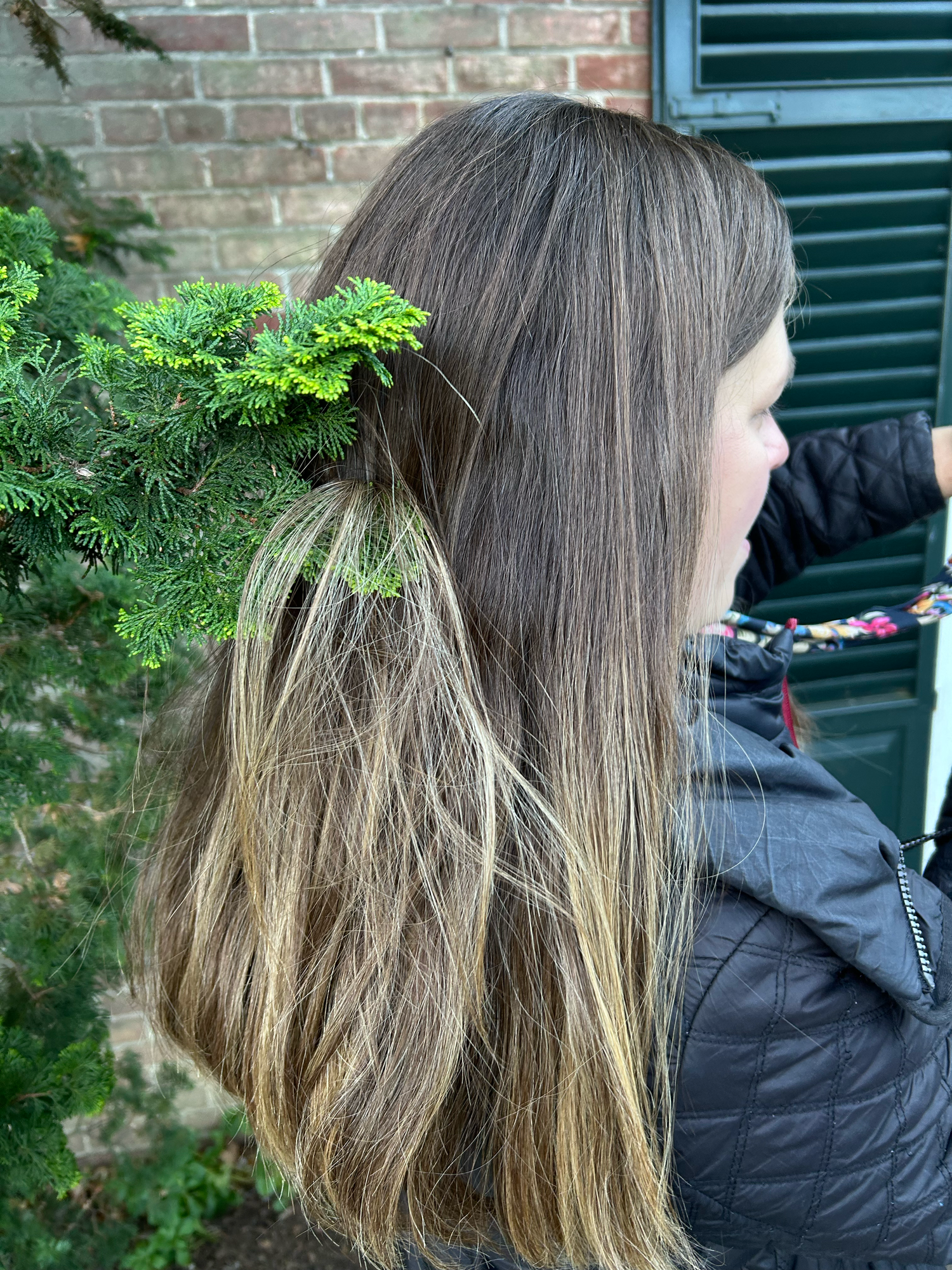 Long straight brown hair with natural ombre effect shown from behind against a brick wall and green foliage.