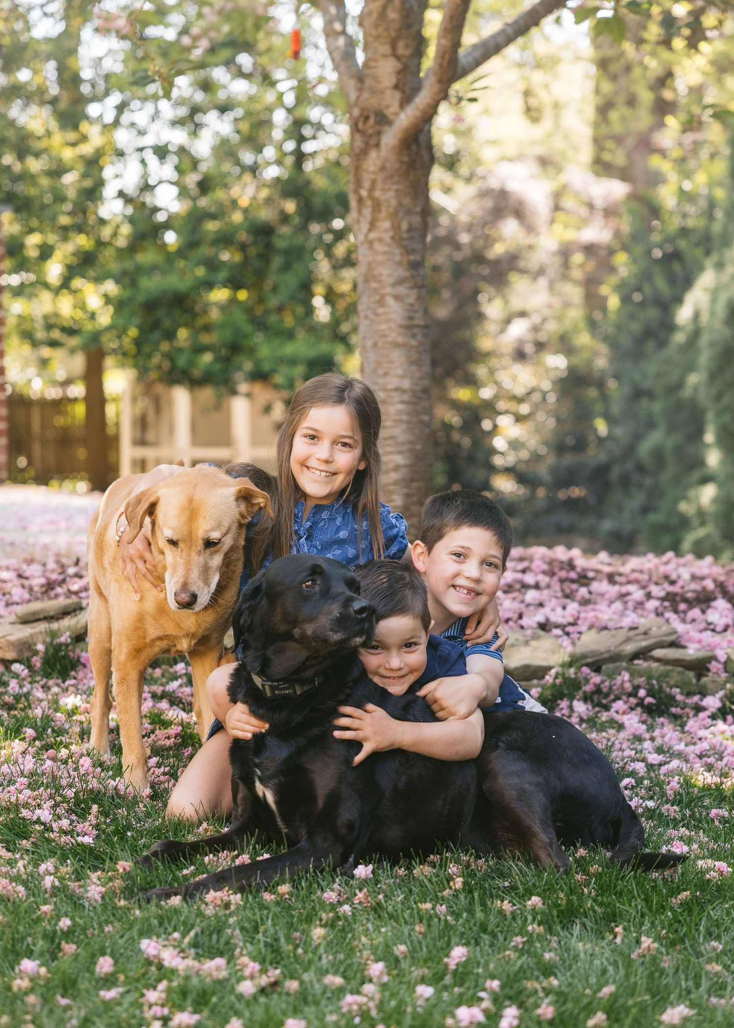 Richmond family photographer Emily Butz M.Photo Heirloom Richmond portrait photographer in-home newborn children mini sessions 30 minute