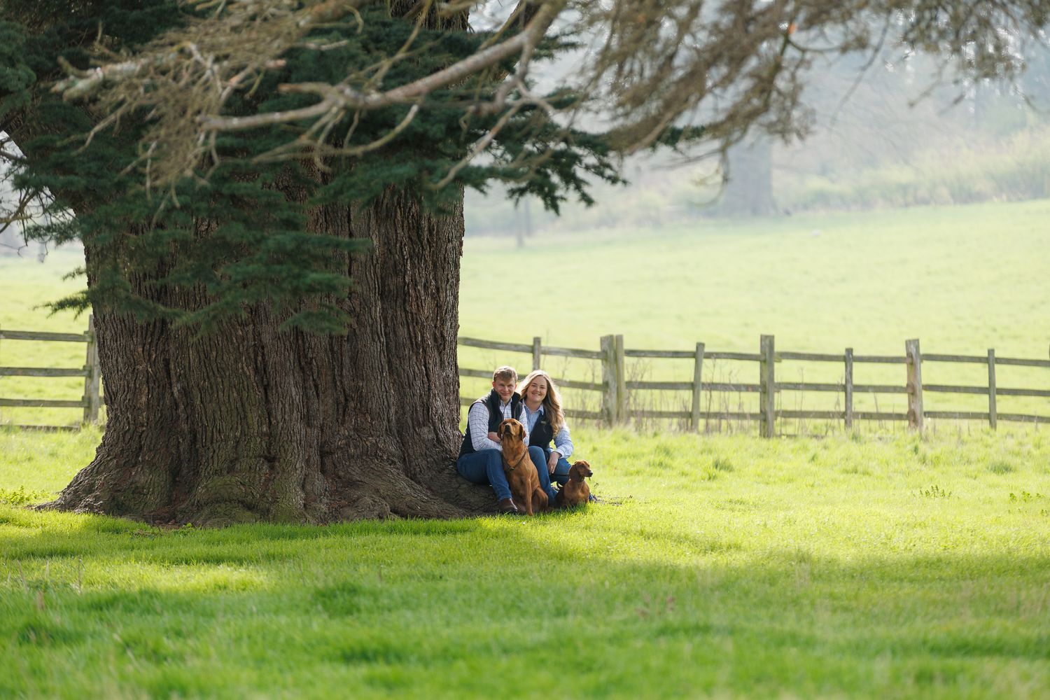 A horse and its rider enjoy an outdoor photoshoot session near rustic wooden fencing on a sunny day.