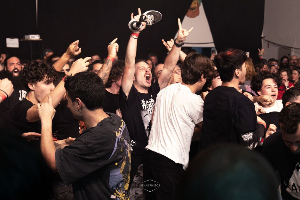Energetic crowd at a punk rock concert, fans moshing and throwing up rock signs in a packed indoor venue.