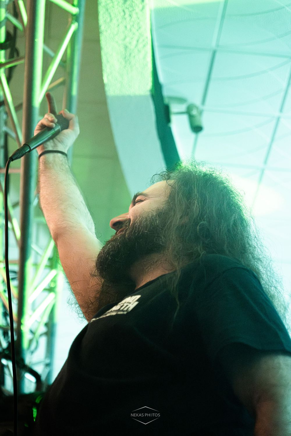 Long-haired bearded male vocalist performs on stage, raising fist under green concert lights.