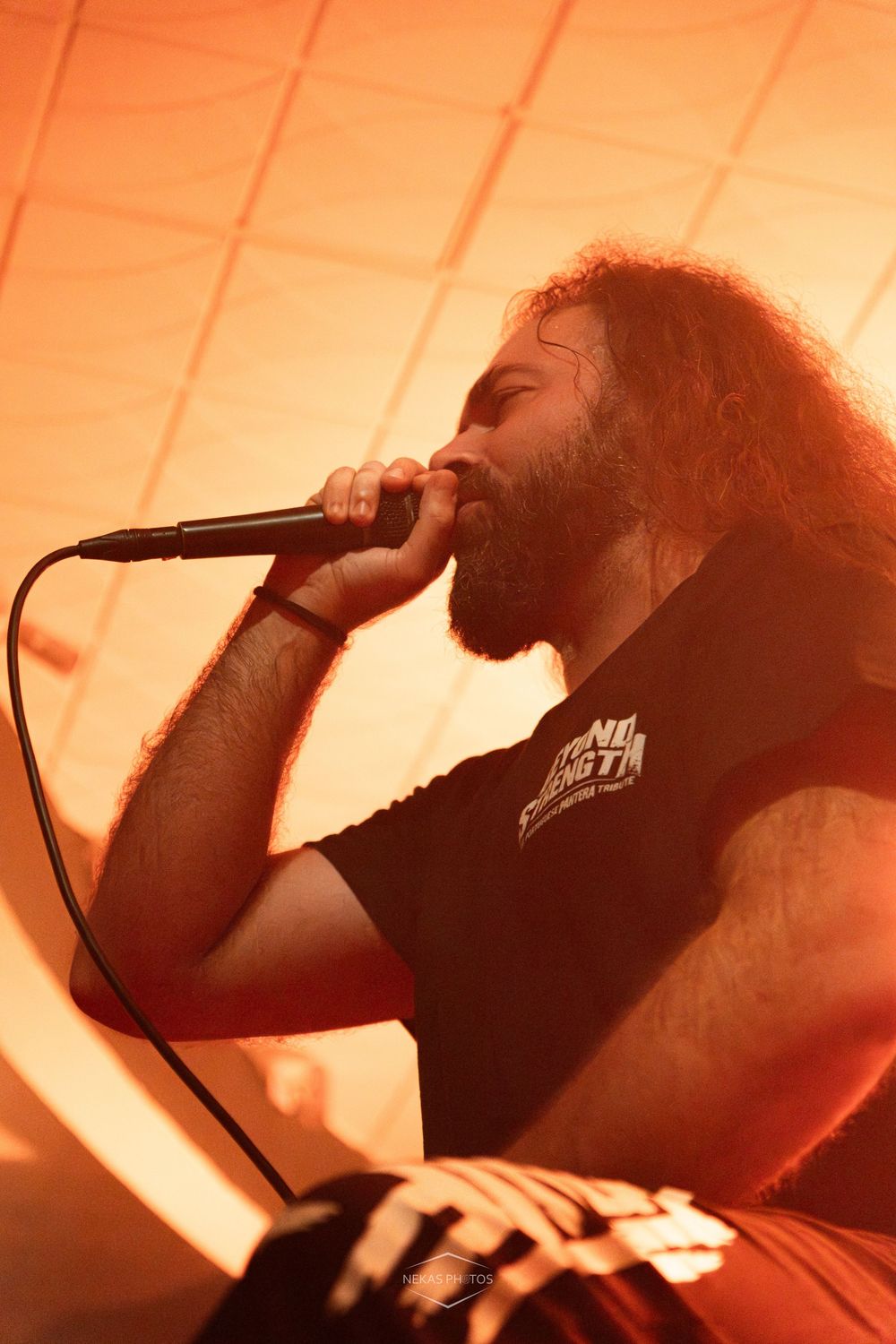 Male rock vocalist with long curly hair and beard performing on stage under warm orange lighting.
