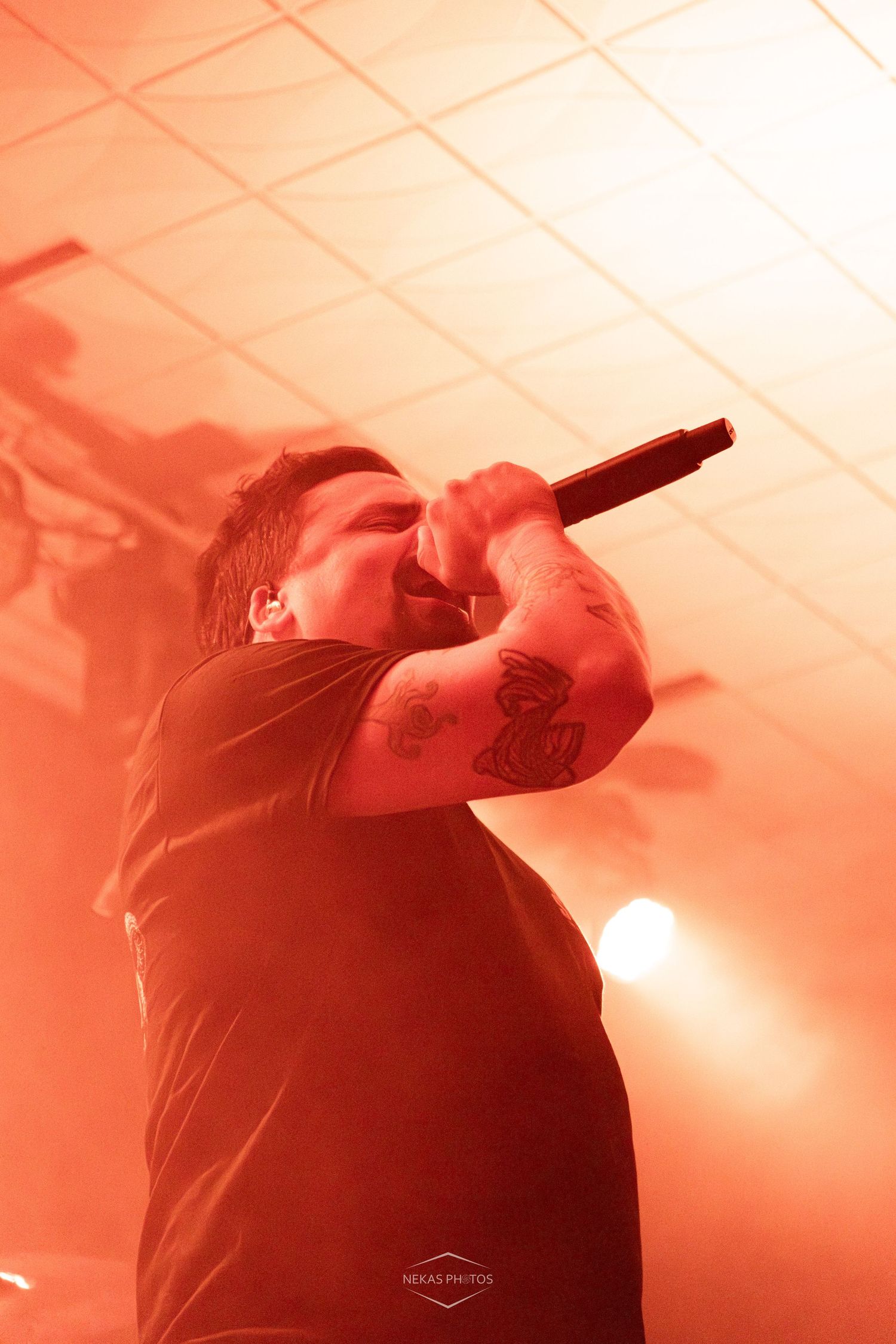 Tattooed male vocalist performing on stage, singing into microphone under dramatic red stage lighting.