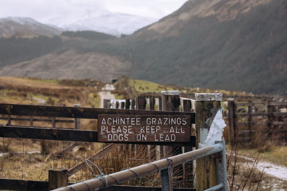 Wooden sign reading Achintee Grazings Please Keep All Dogs On Lead, set against misty Scottish Highland mountains.