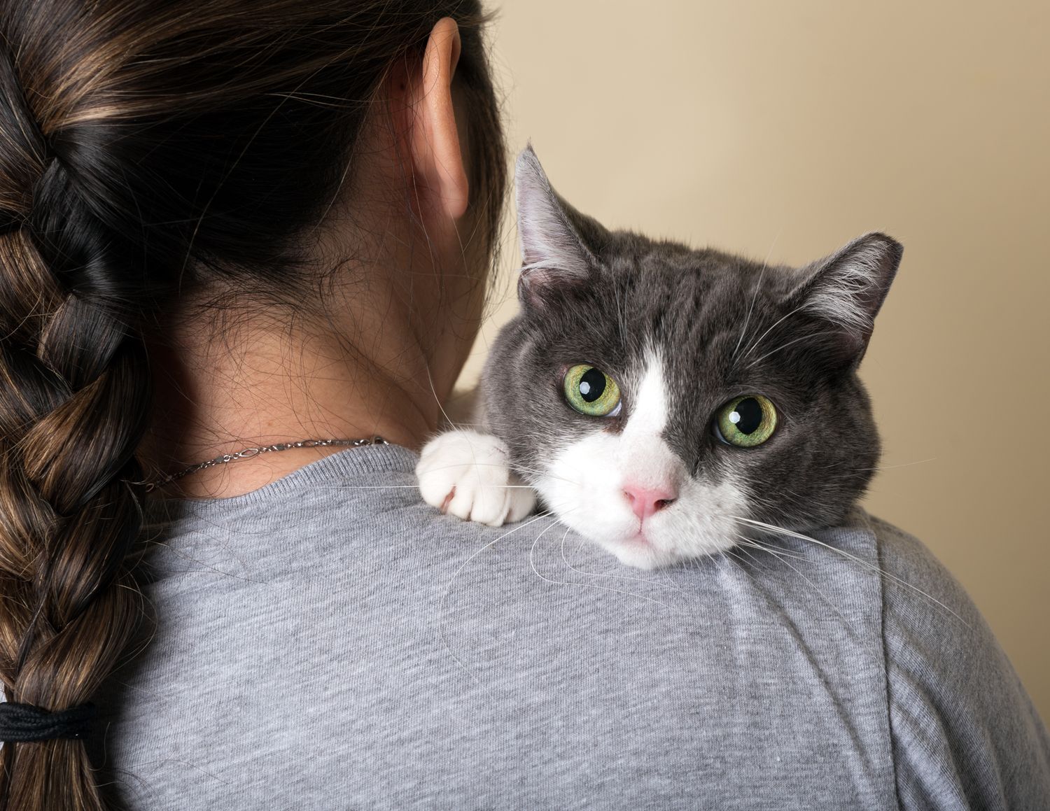 Gray and white cat with green eyes resting on a woman's shoulder, looking alert and curious.