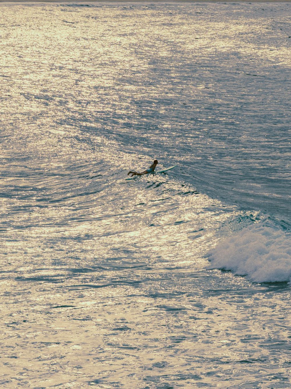 girl in the middle of the frame going over a wave on her surfboard in a drone like shot with the ocean sparkles at Hat Head NSW