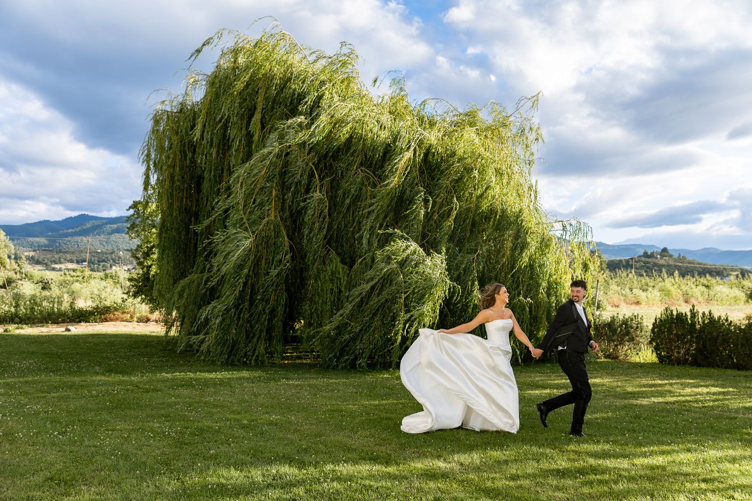 Bride and groom portraits at Edenvale Winery under large Willow tree.