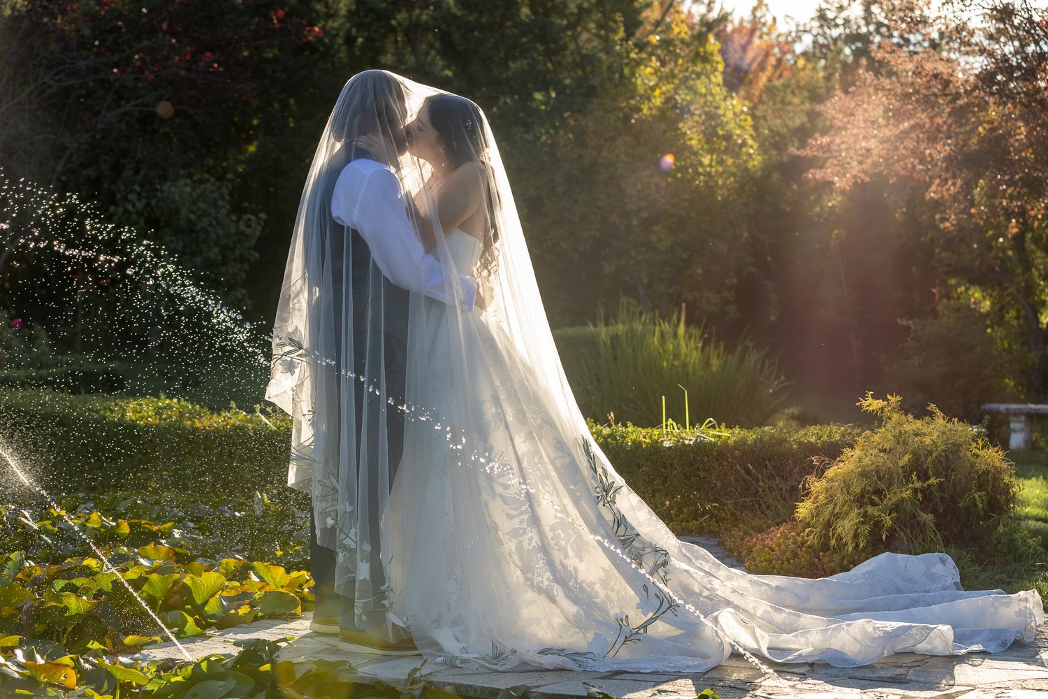 Bride and groom portraits at Edenvale Winery under large Willow tree.