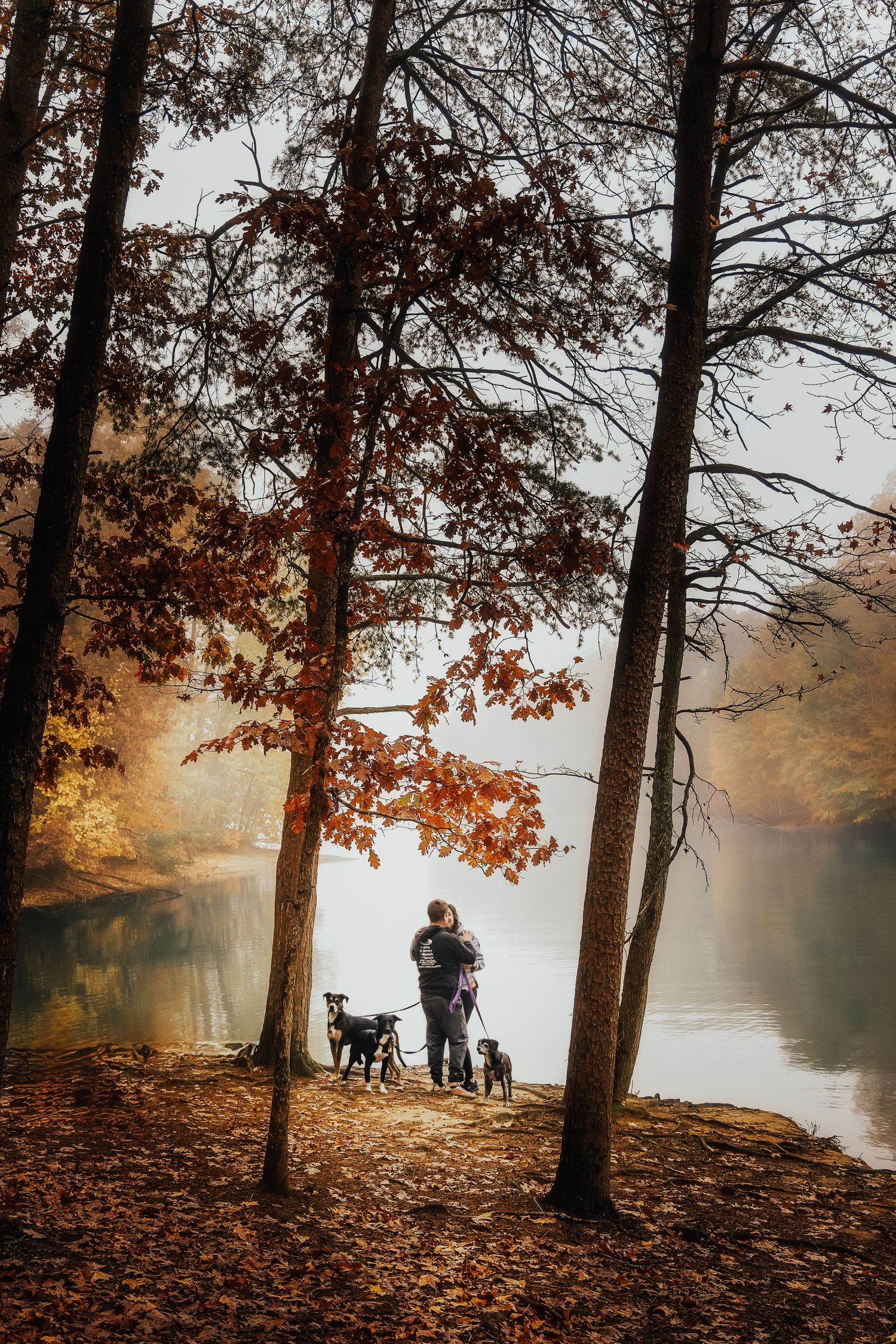 A misty autumn morning by a lake with fallen leaves and tall trees silhouetted against a golden foggy backdrop.