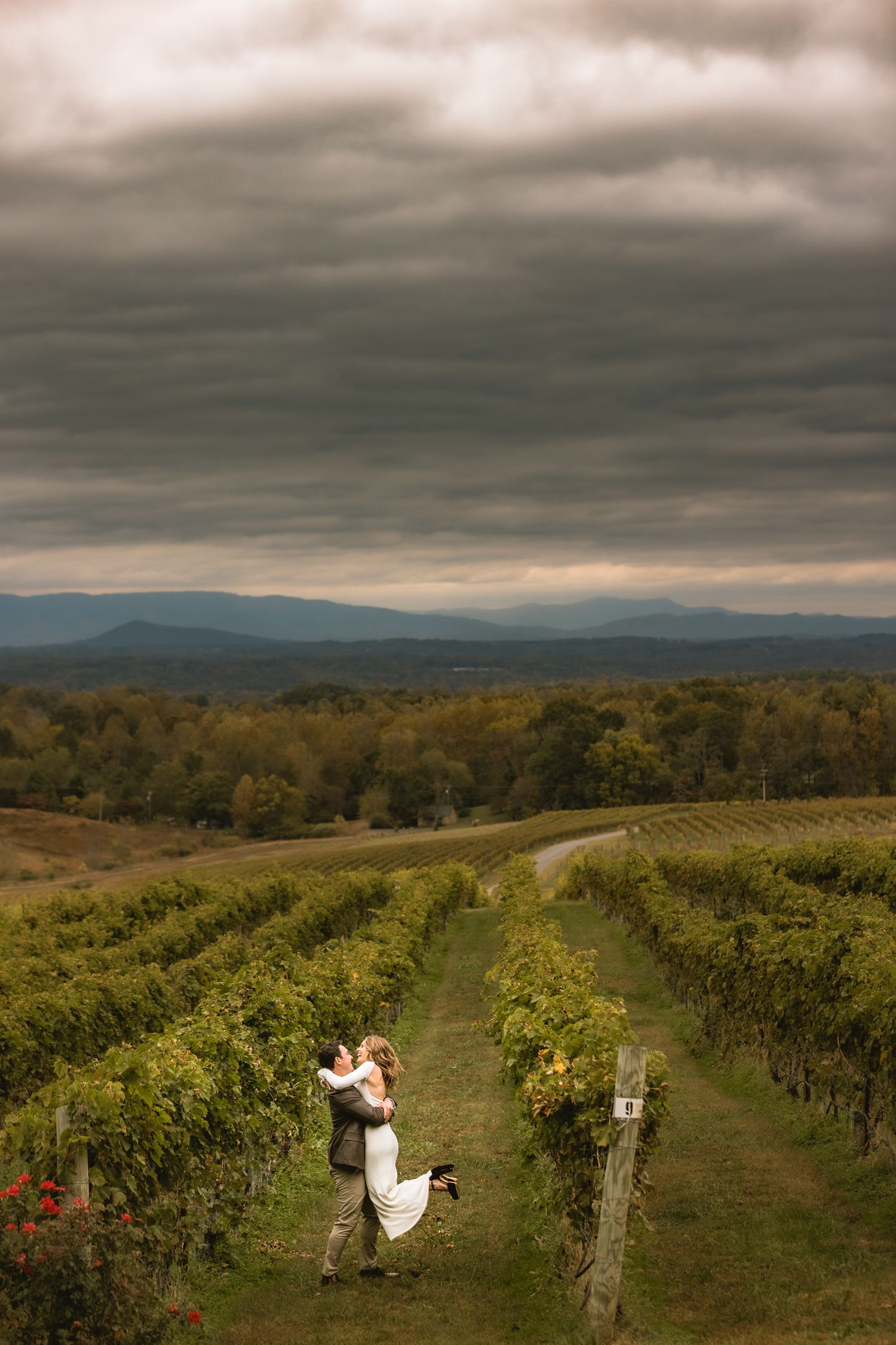 A dramatic panoramic view of a vineyard under stormy skies with mountains in the distance and a person taking photos.