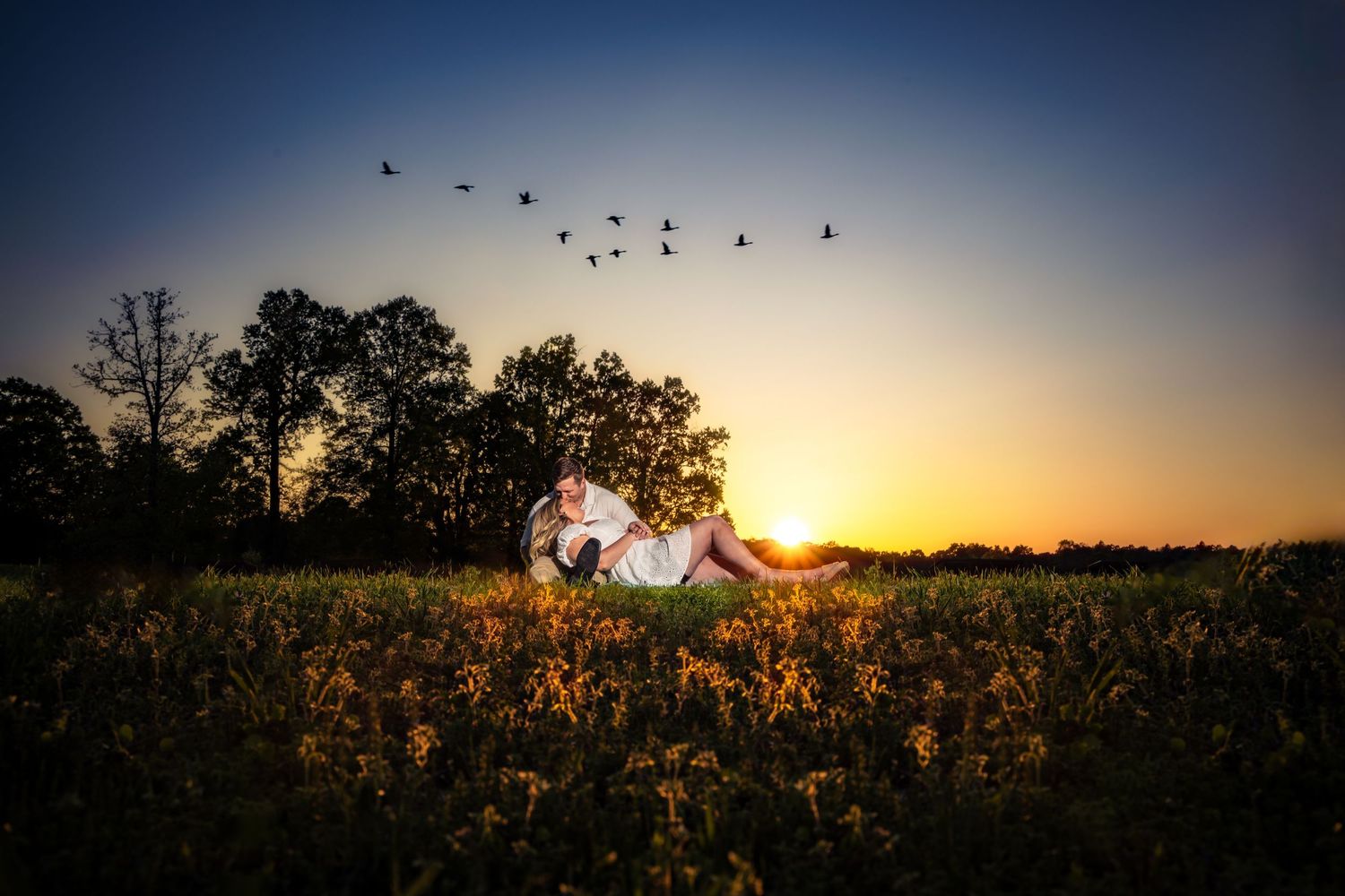 A silhouetted tent glows warmly against a golden sunset sky with birds flying overhead in a rural field.